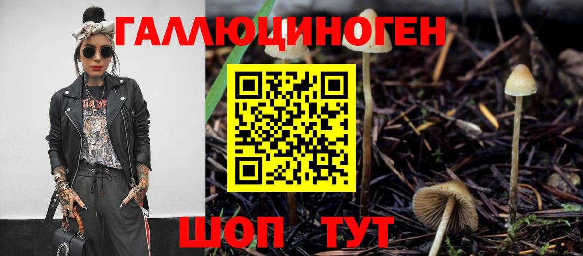 Псилоцибиновые грибы Magic Shrooms  магазин продажи   Вход с VPN  Нягань  Галлюциногенные грибы Cubensis 